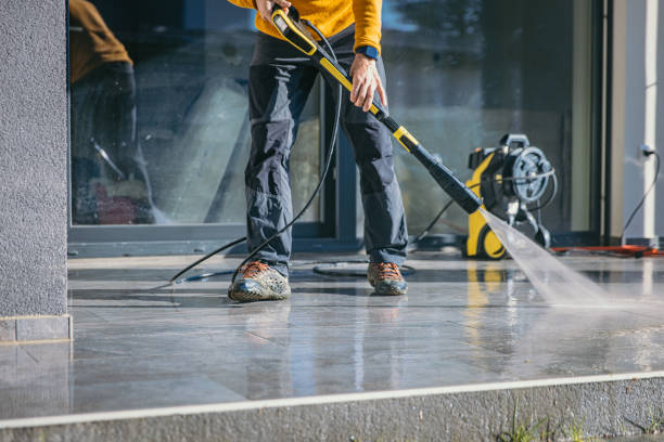 Animal Enclosure Cleaning in Harvest, AL