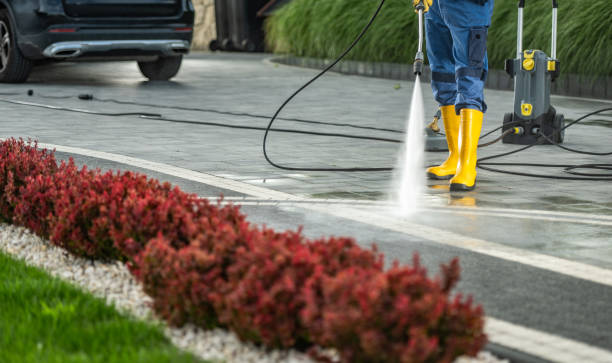 Best Fence Cleaning  in Harvest, AL